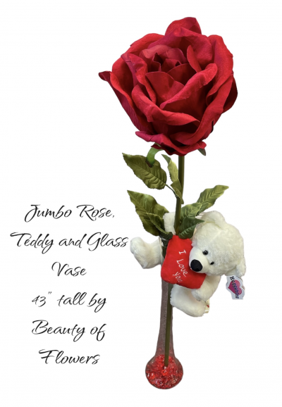 Jumbo Rose, Teddy and Glass Vase - Jumbo rose for valentine delivered in Derby and Derbyshire by Beauty of flowers florist