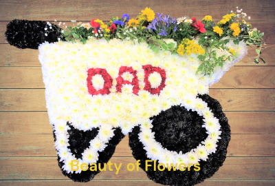 Wheel Barrow Product Image